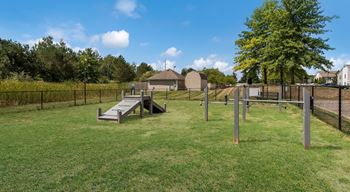 Community dog park